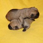 02_first day03.jpg